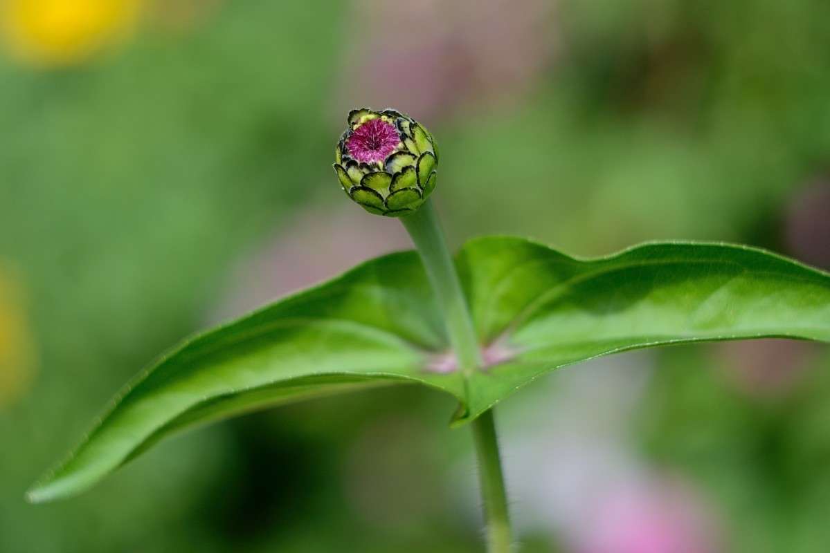 ������ ����� S  �� PhotoGeek.ru #������ ��� �������