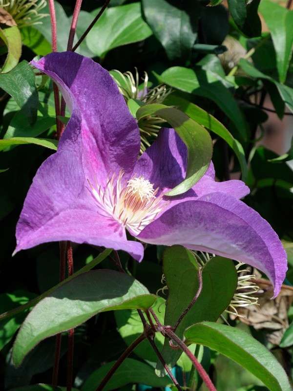 ... ����� S  �� PhotoGeek.ru #���������