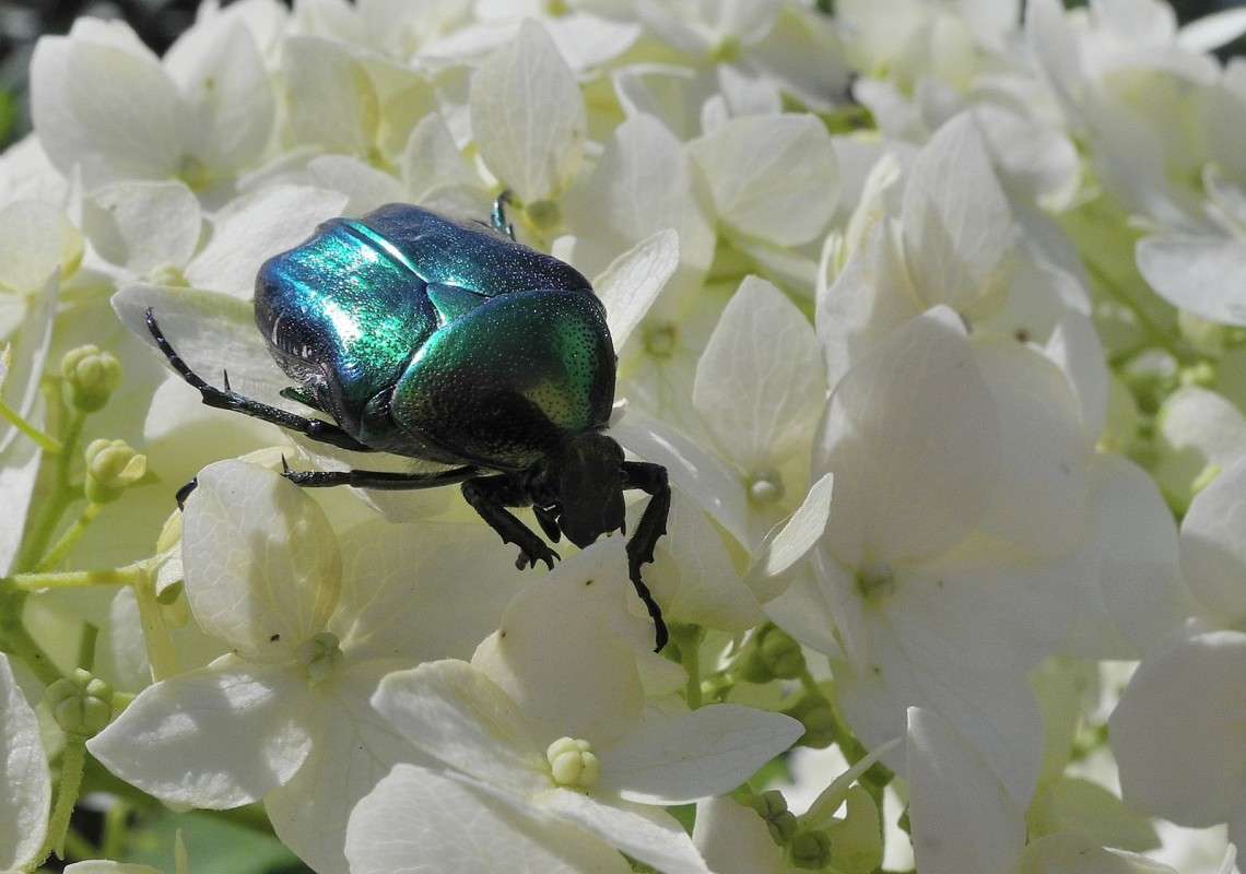 ... ����� S  �� PhotoGeek.ru #�������� ��� #����� ��� ��� ���������