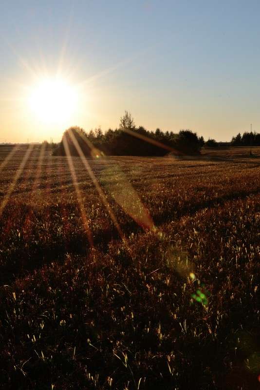 ����� ����� S  �� PhotoGeek.ru #������ ��� �������