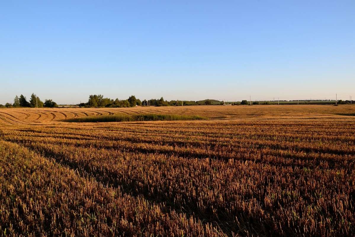 ��� ��... ����� S  �� PhotoGeek.ru #������ ��� �������