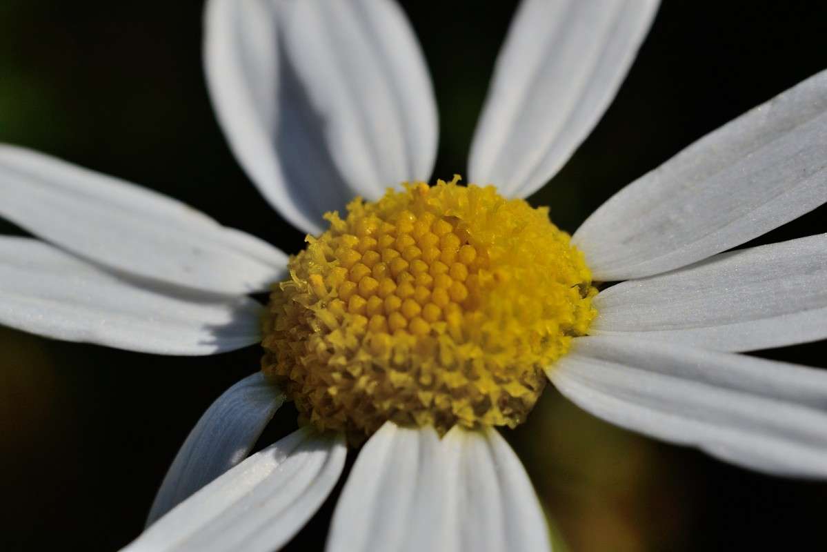 ������ )) ����� S  �� PhotoGeek.ru #�����