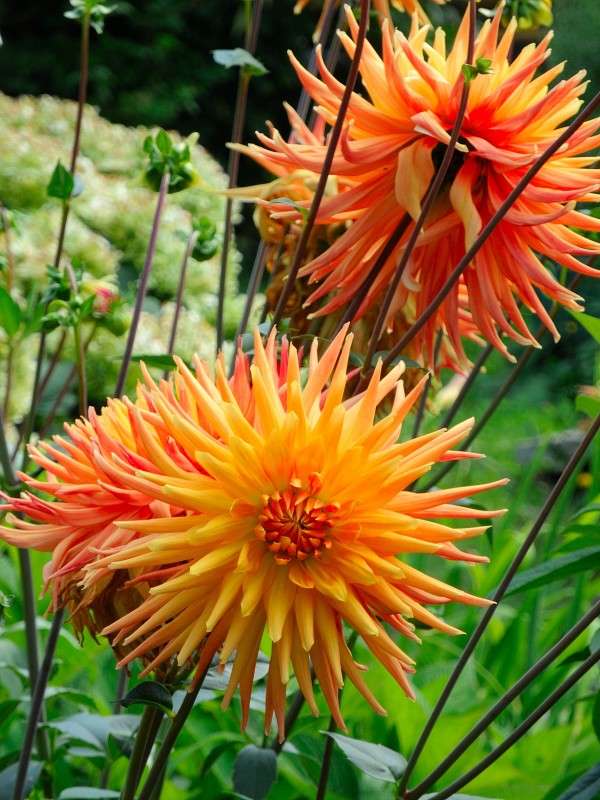 ... ����� S  �� PhotoGeek.ru #��������� #������ ��� ������� #����� ��������������