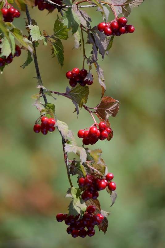 ) ����� S  �� PhotoGeek.ru #������ ��� �������