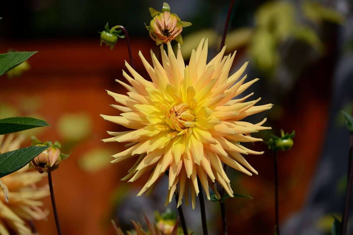 ������! ����� S  �� PhotoGeek.ru #������ ��� �������