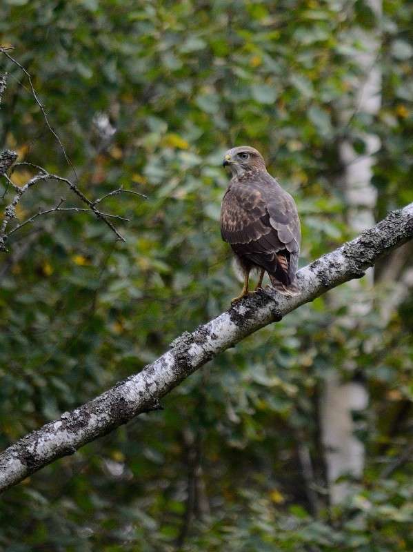 ������! ����� S  �� PhotoGeek.ru #�������� ��� #����� ��� ��� ���������