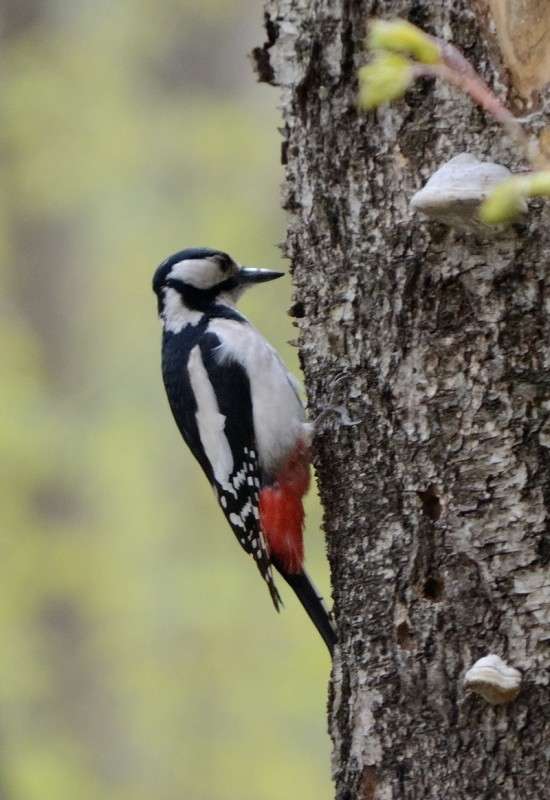 ... ����� S  �� PhotoGeek.ru #�������� ���