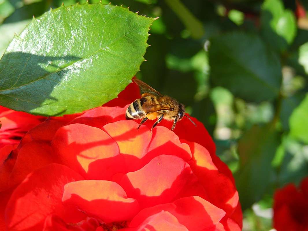 �������� ����� S  �� PhotoGeek.ru #������ ��� �������