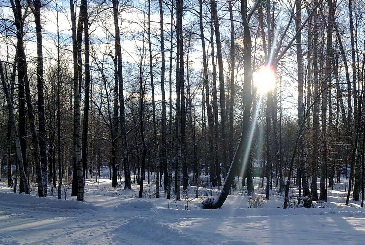 ... ����� S  �� PhotoGeek.ru #������ ��� �������