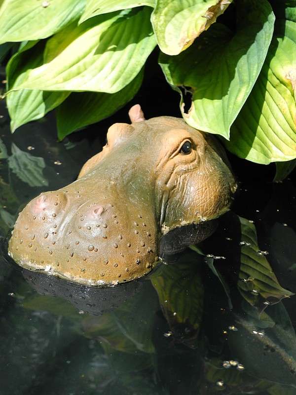 ... ����� S  �� PhotoGeek.ru #�������� ���