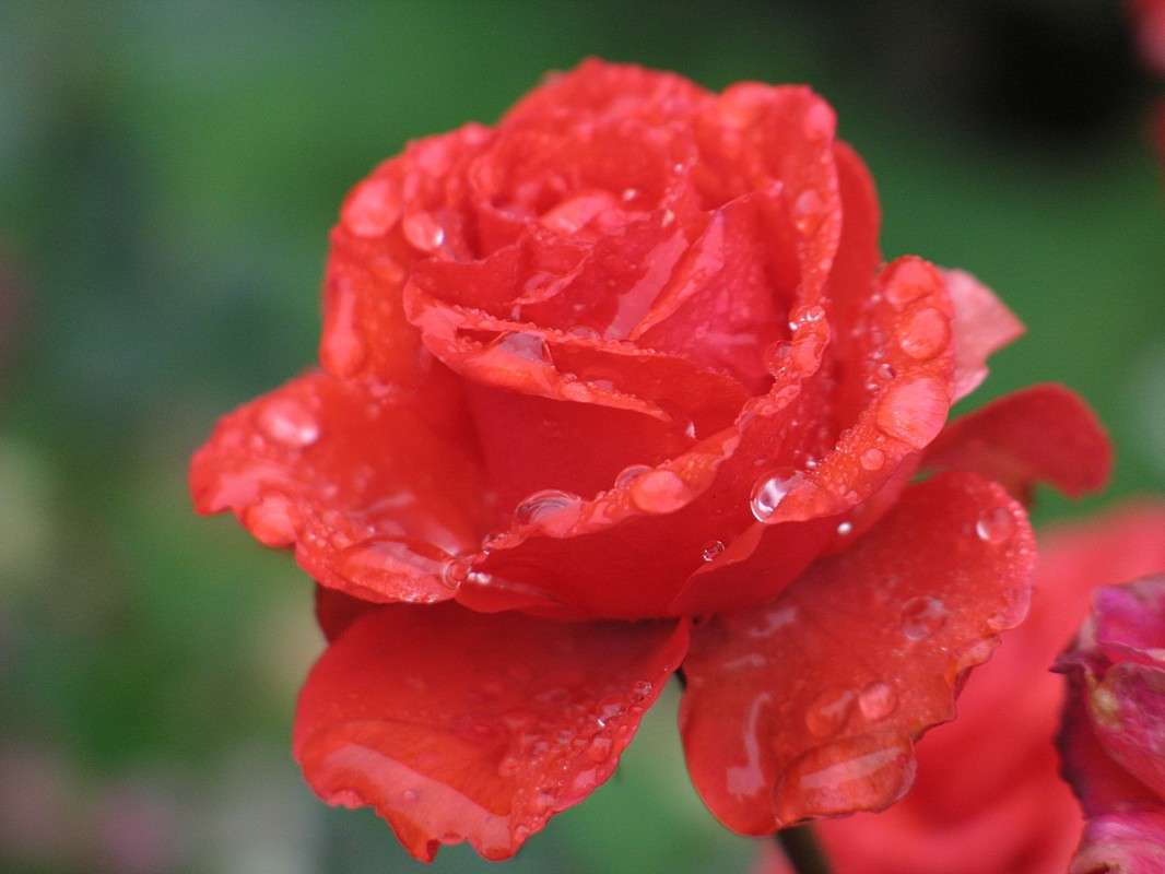 ... ����� S  �� PhotoGeek.ru #������ ��� �������