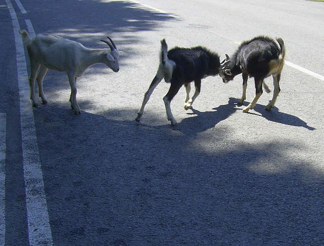 ... ����� S  �� PhotoGeek.ru #�������� ���