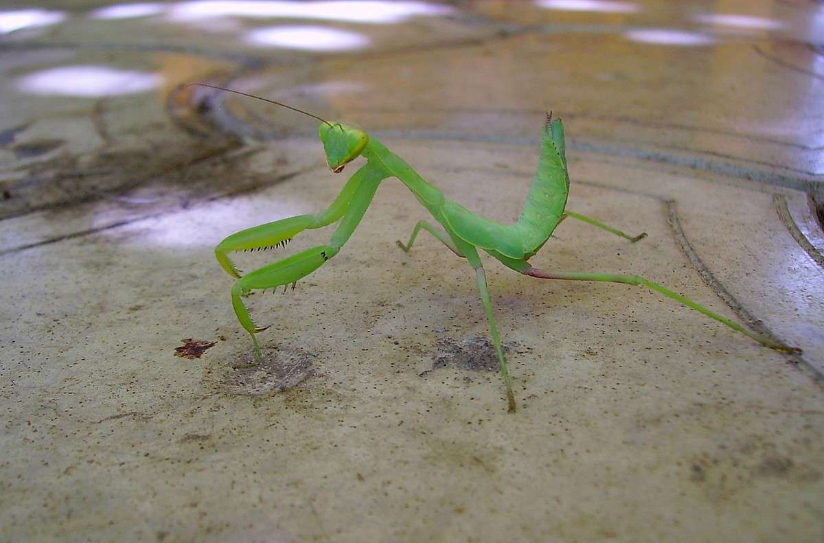 ... ����� S  �� PhotoGeek.ru #�������� ���