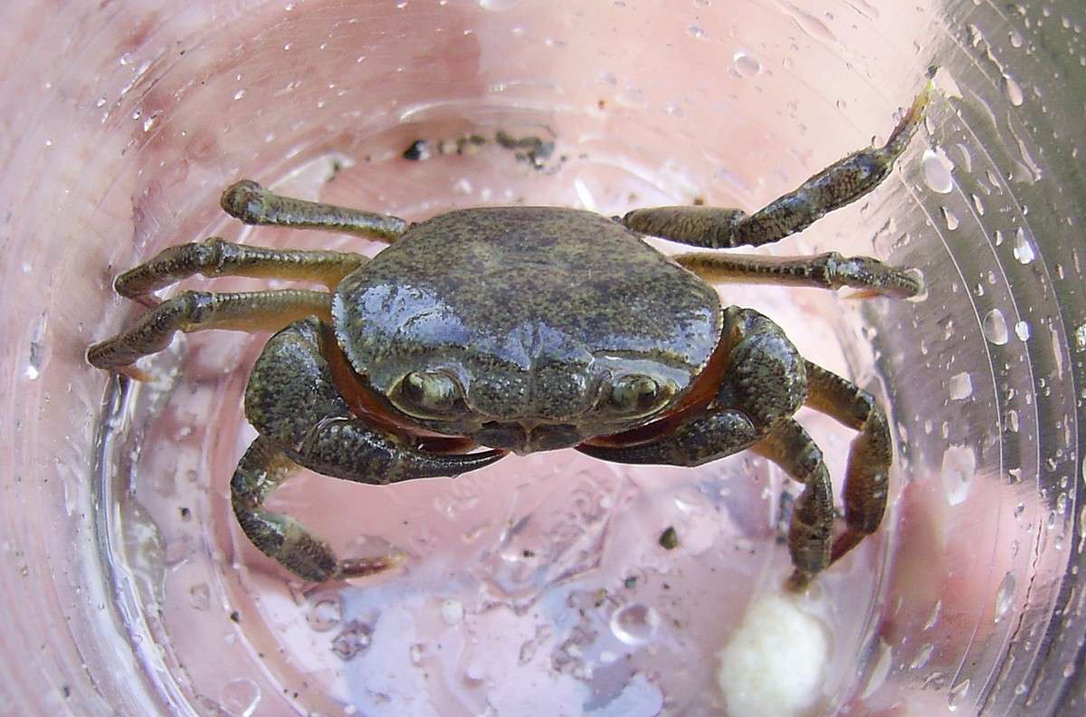 Hi! It's me!!! ����� S  �� PhotoGeek.ru #�������� ���