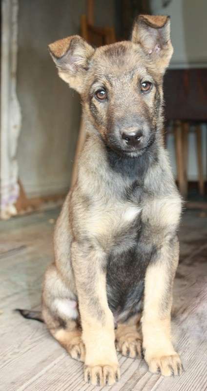 ���� ����� S  �� PhotoGeek.ru #�������� ���