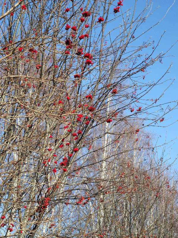 ... ����� S  �� PhotoGeek.ru #������ ��� �������