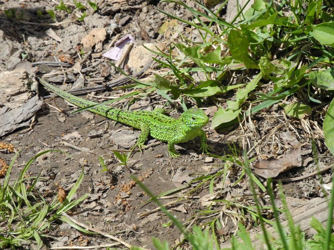 ... ����� S  �� PhotoGeek.ru #�������� ���