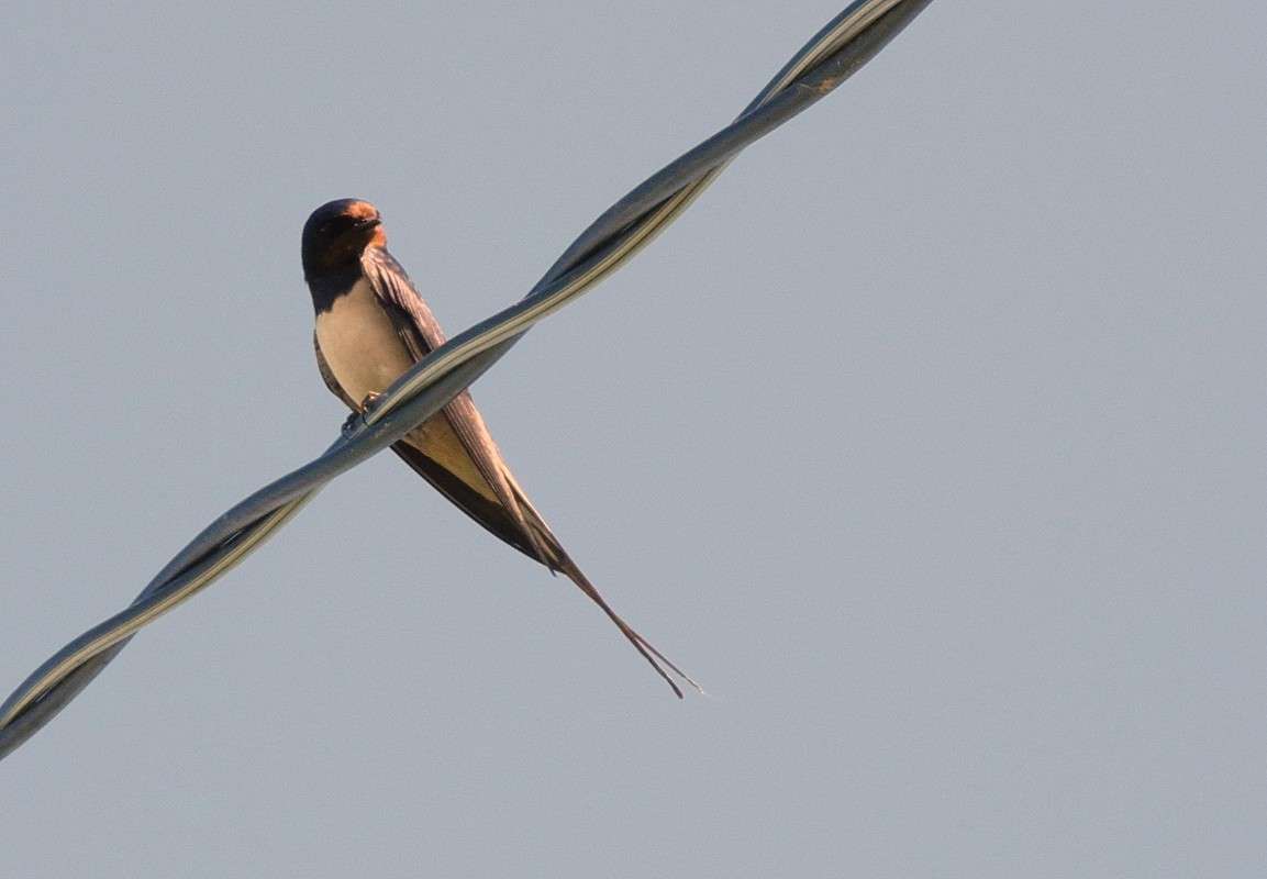 ... ����� S  �� PhotoGeek.ru #�������� ��� #����� ��� ��� ���������