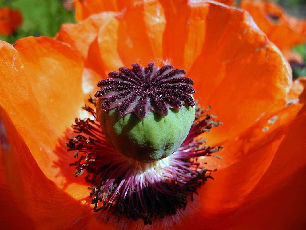 ... ����� S  �� PhotoGeek.ru #������ ��� �������