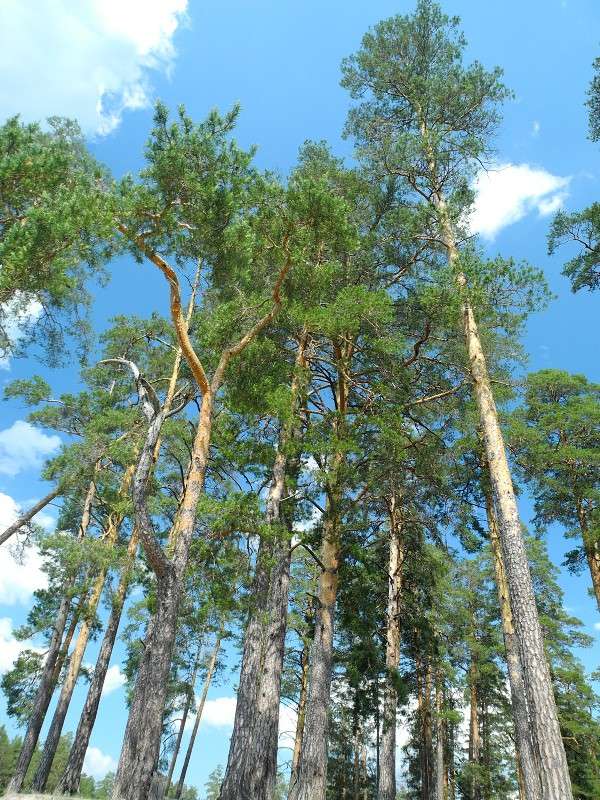 ... ����� S  �� PhotoGeek.ru #������ ��� �������