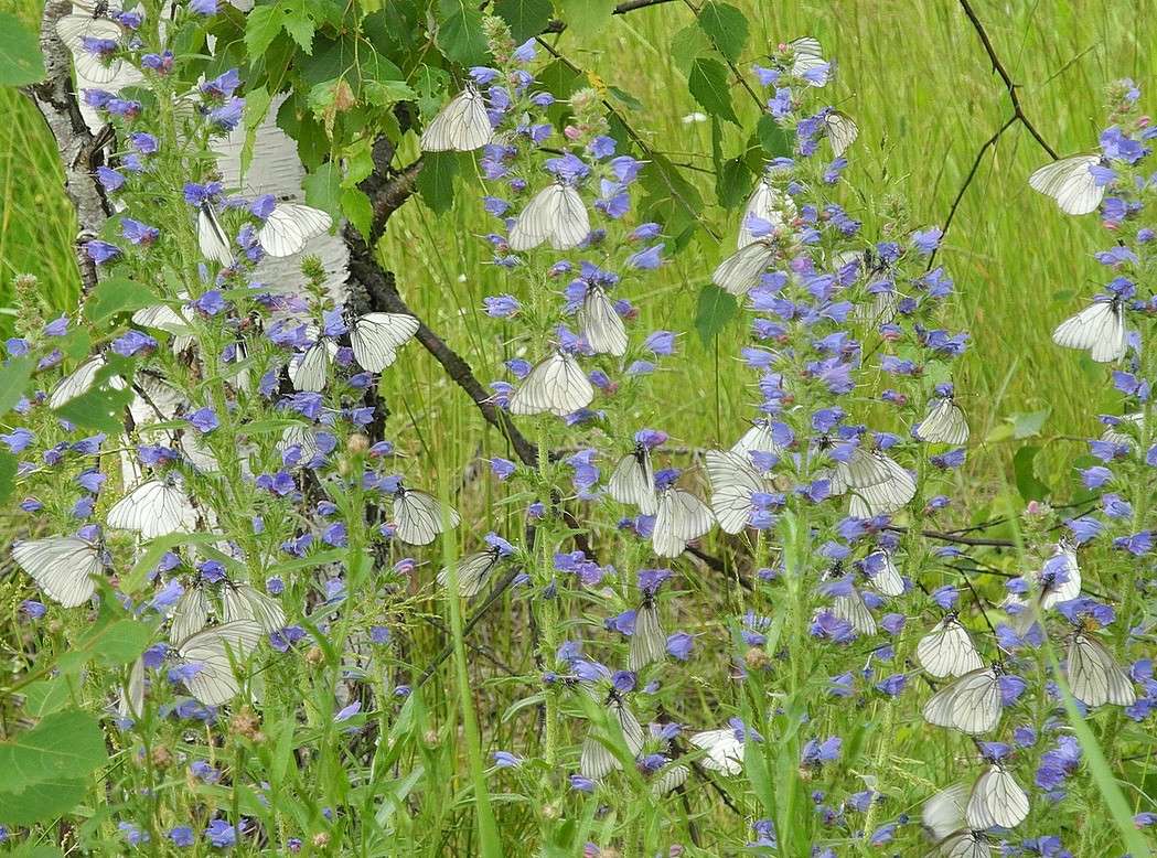 ... ����� S  �� PhotoGeek.ru #�������� ��� #����� ��� ��� ���������