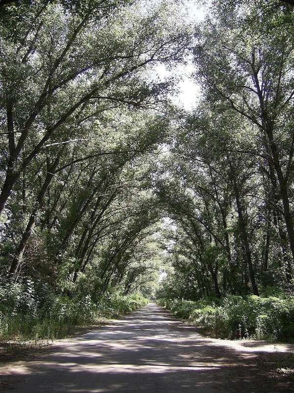 ... ����� S  �� PhotoGeek.ru #������ ��� �������