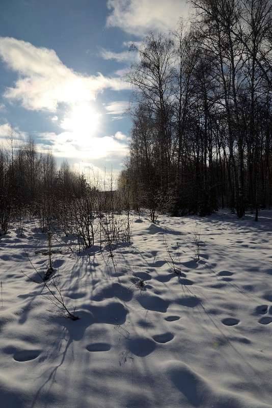 ... ����� S  �� PhotoGeek.ru #������ ��� �������