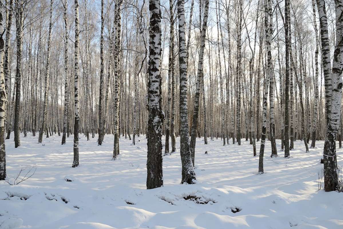 ... ����� S  �� PhotoGeek.ru #������ ��� �������