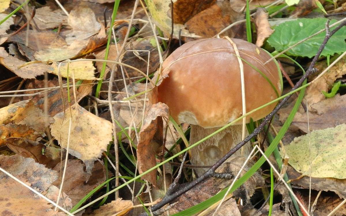 ... ����� S  �� PhotoGeek.ru #������ ��� ������� #����� ��������