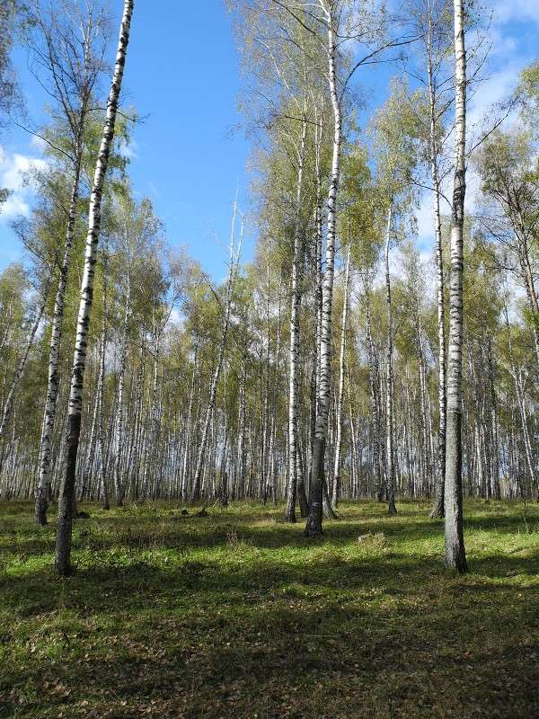 ... ����� S  �� PhotoGeek.ru #������ ��� �������