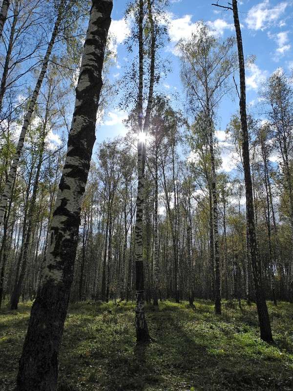 ... ����� S  �� PhotoGeek.ru #������ ��� �������