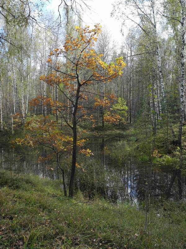 ... ����� S  �� PhotoGeek.ru #������ ��� �������