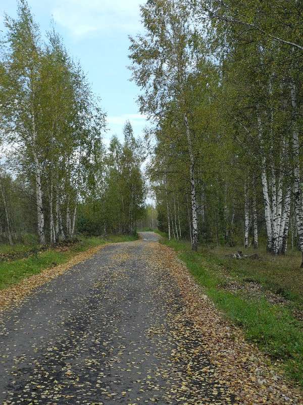 ... ����� S  �� PhotoGeek.ru #������ ��� �������