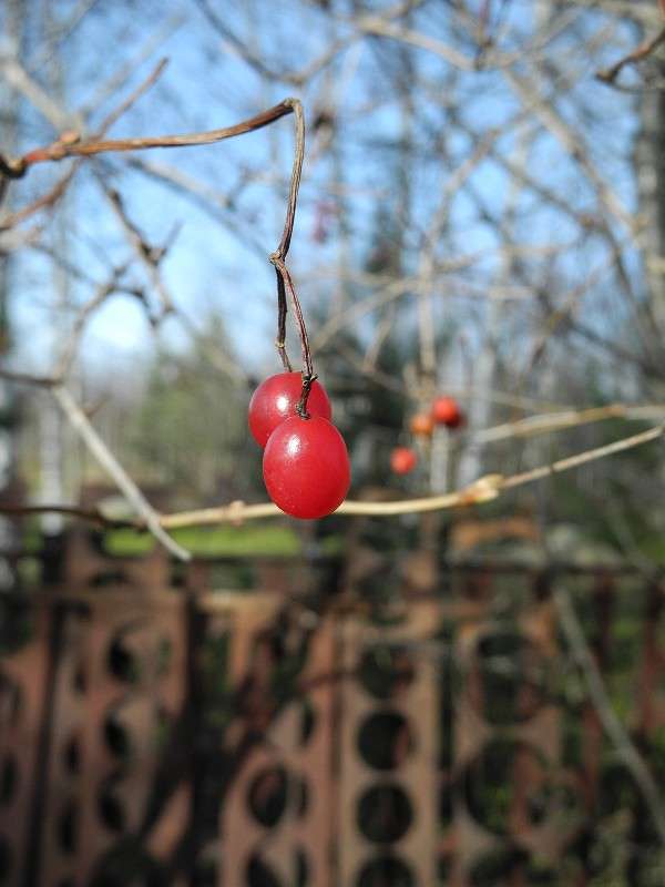 ... ����� S  �� PhotoGeek.ru #������ ��� �������