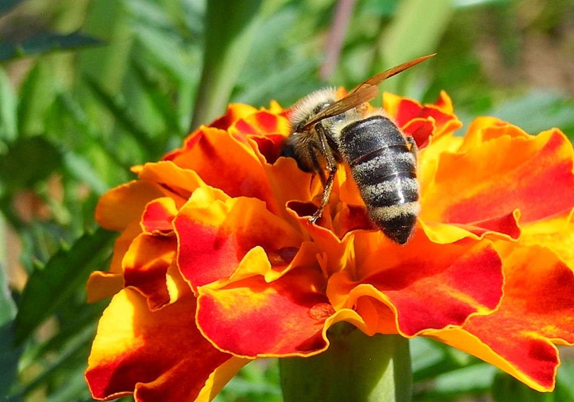 ���������� ����� S  �� PhotoGeek.ru #�������� ���