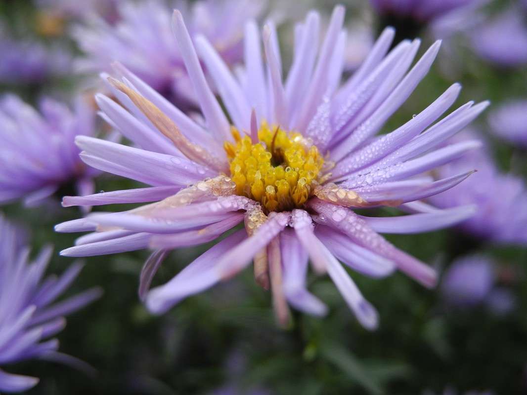 ... ����� S  �� PhotoGeek.ru #������ ��� �������