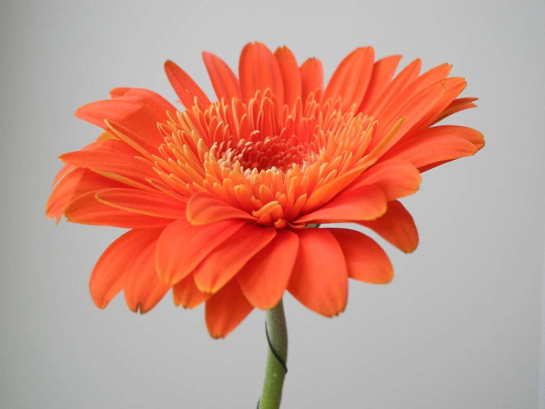 ... ����� S  �� PhotoGeek.ru #������ ��� �������