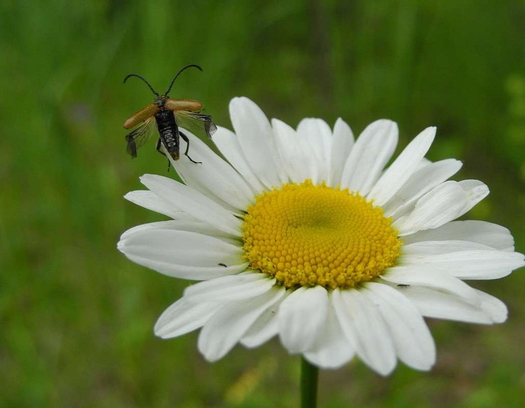 � ������ �����! ����� S  �� PhotoGeek.ru #�������� ���