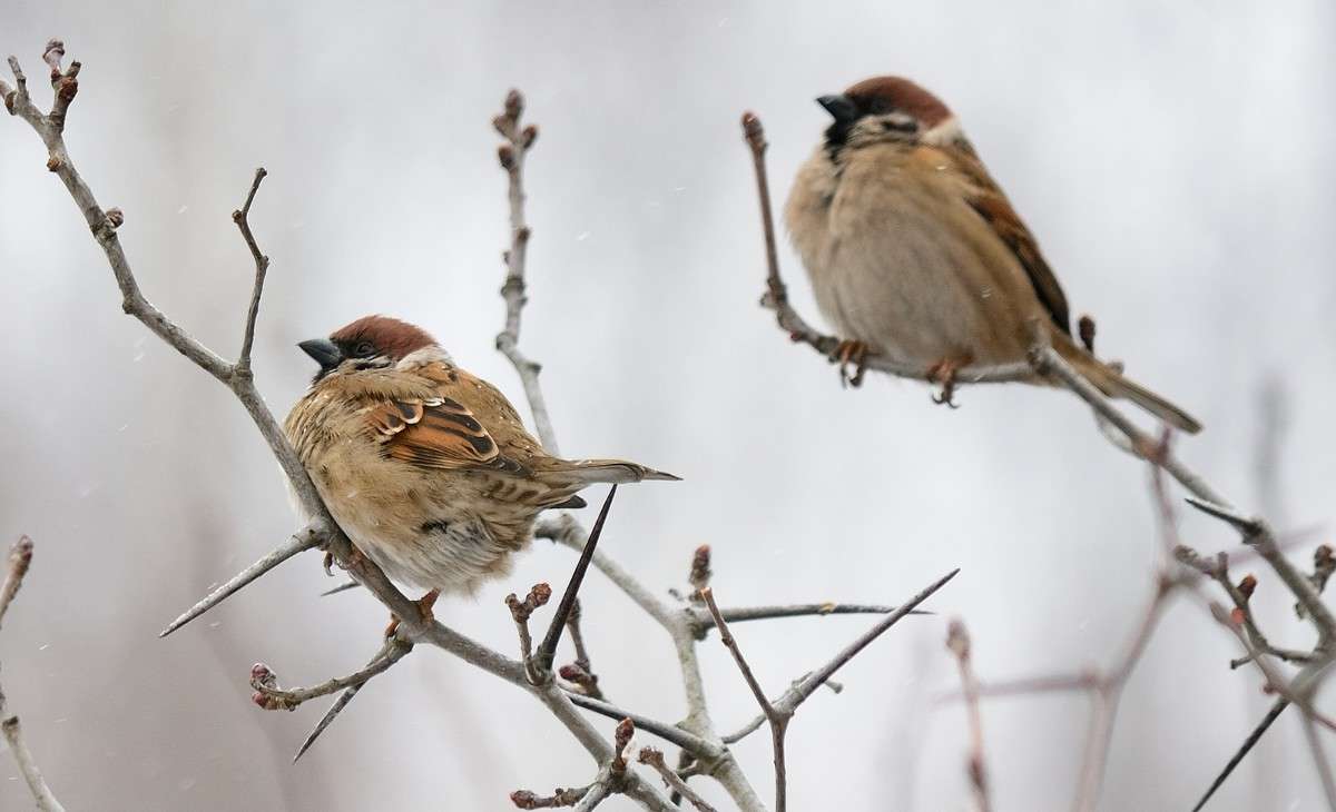 ... ����� S  �� PhotoGeek.ru #�������� ��� #����� ��� ��� ���������