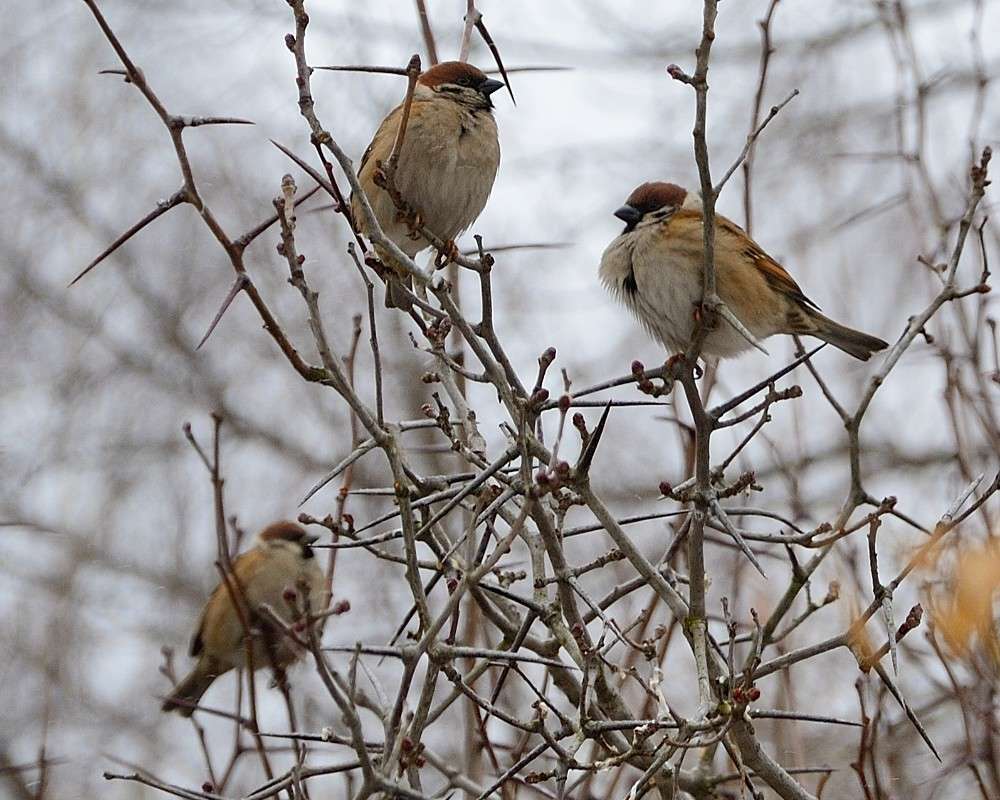 ����... ����� S  �� PhotoGeek.ru #�������� ��� #����� ��� ��� ���������