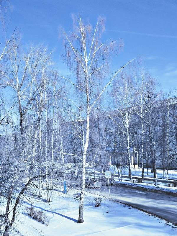 ... ����� S  �� PhotoGeek.ru #������ ��� �������