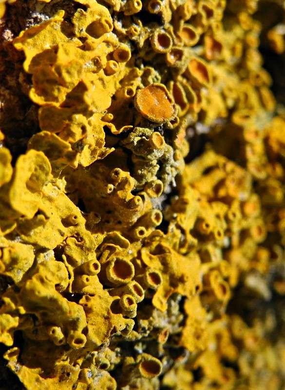 ... ����� S  �� PhotoGeek.ru #�����