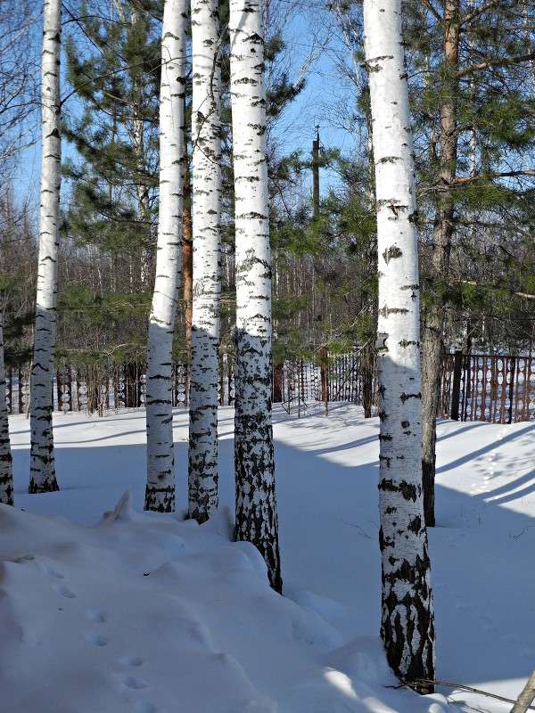 ... ����� S  �� PhotoGeek.ru #������ ��� �������