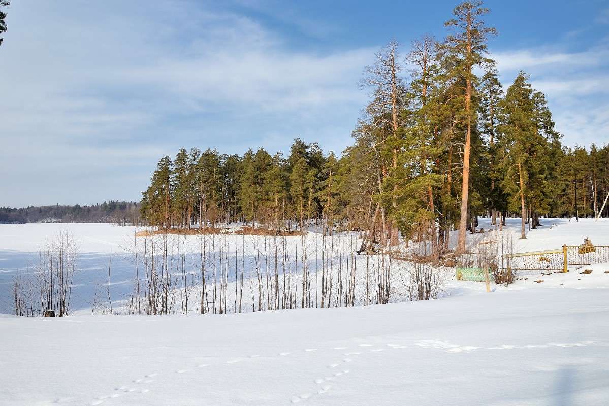 ... ����� S  �� PhotoGeek.ru #������ ��� �������