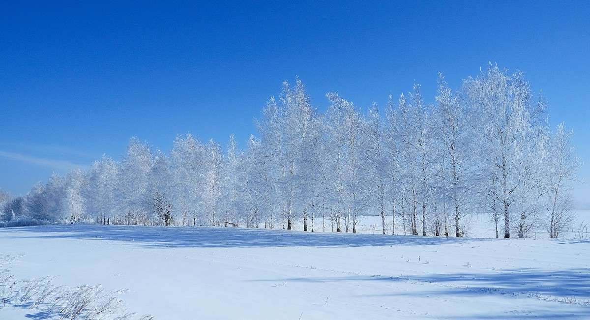 ... ����� S  �� PhotoGeek.ru #������ ��� �������