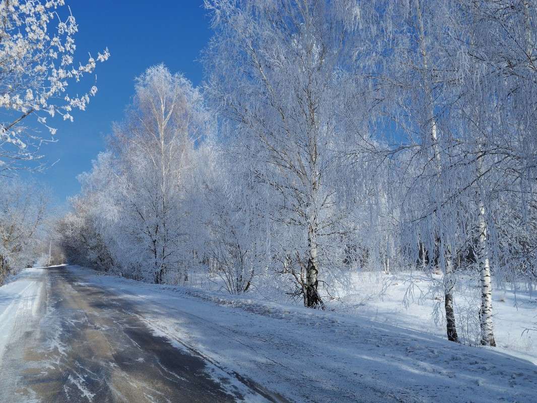 ... ����� S  �� PhotoGeek.ru #������ ��� �������