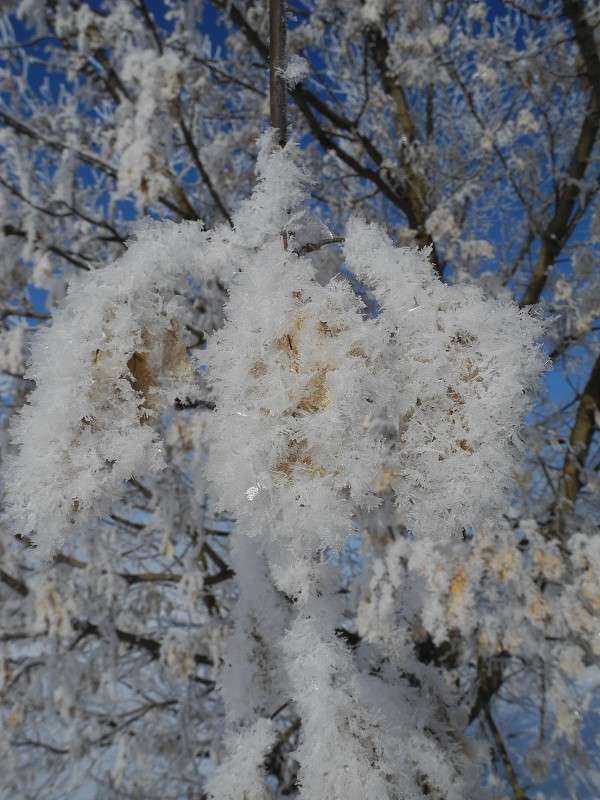 ���� ����� S  �� PhotoGeek.ru #������ ��� �������