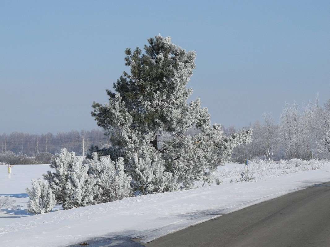 ���� ����� S  �� PhotoGeek.ru #������ ��� �������