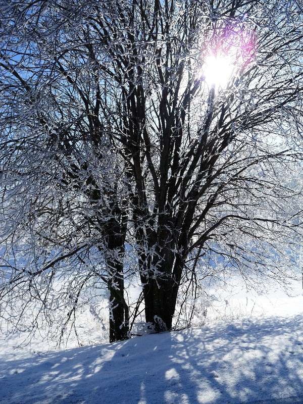 ������ :) ����� S  �� PhotoGeek.ru #������ ��� �������