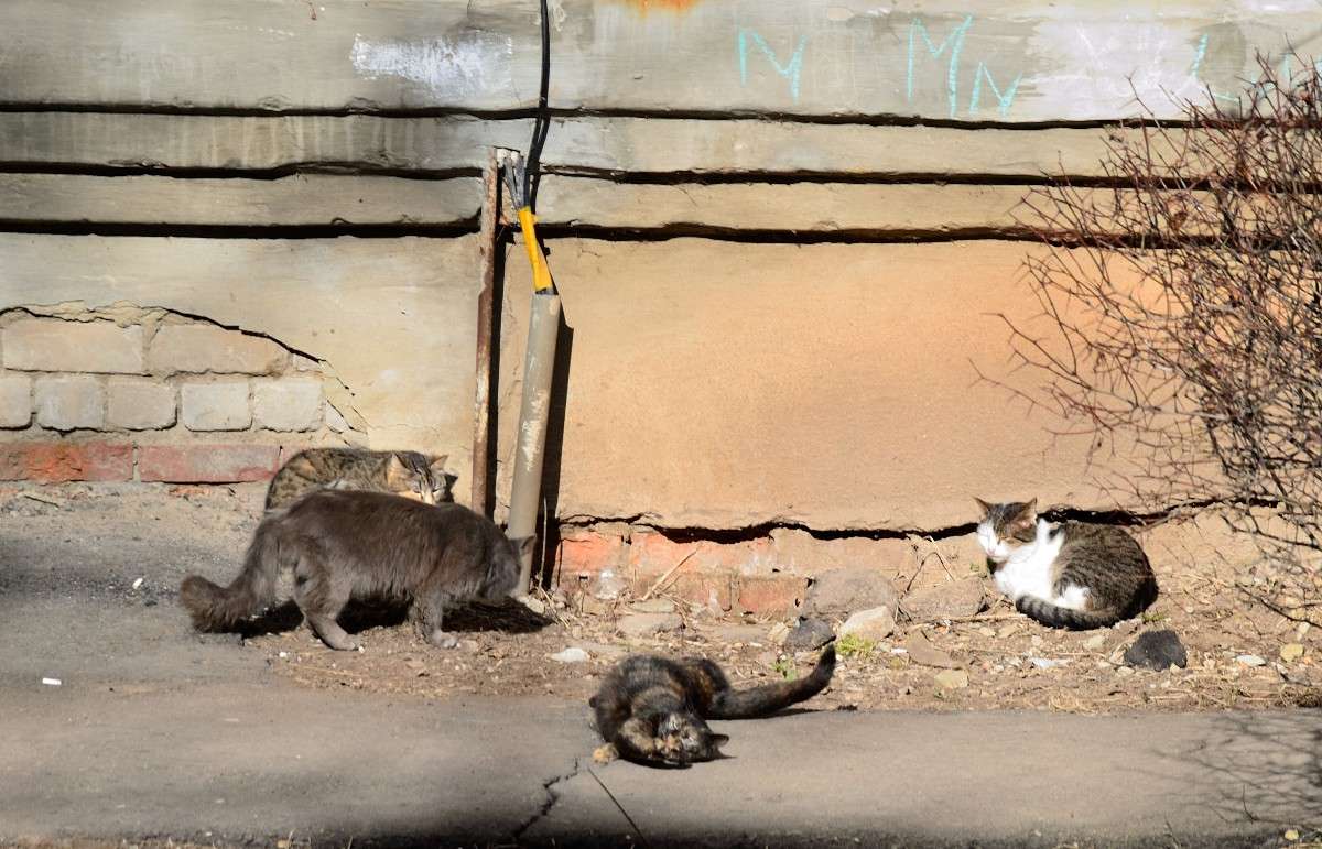 ���� ����� S  �� PhotoGeek.ru #�������� ��� #��������